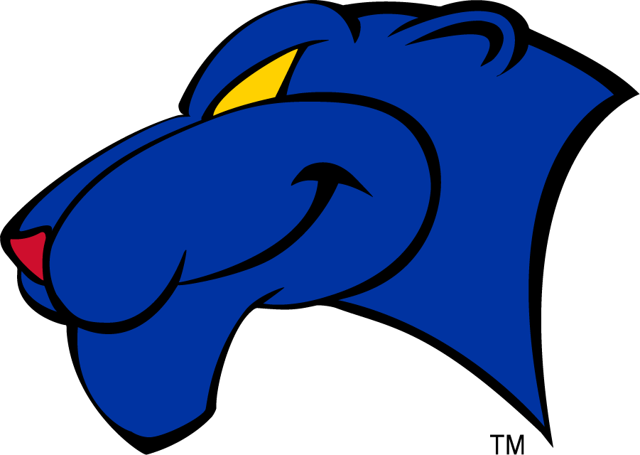 Georgia State Panthers 2002-2009 Secondary Logo v2 diy iron on heat transfer